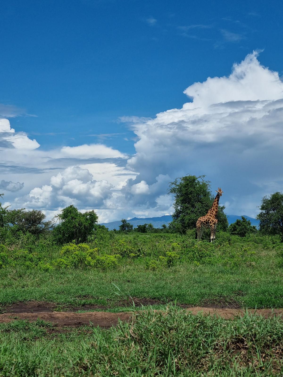 Lake Nakuru National Park10