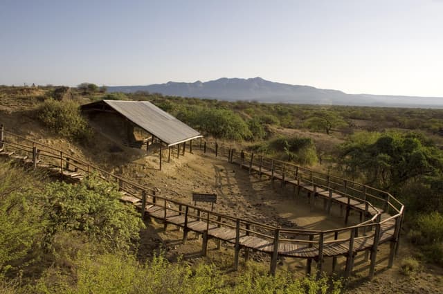 Archeological Site