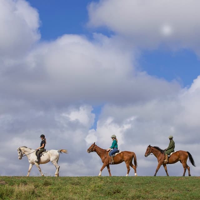 Horse Riding