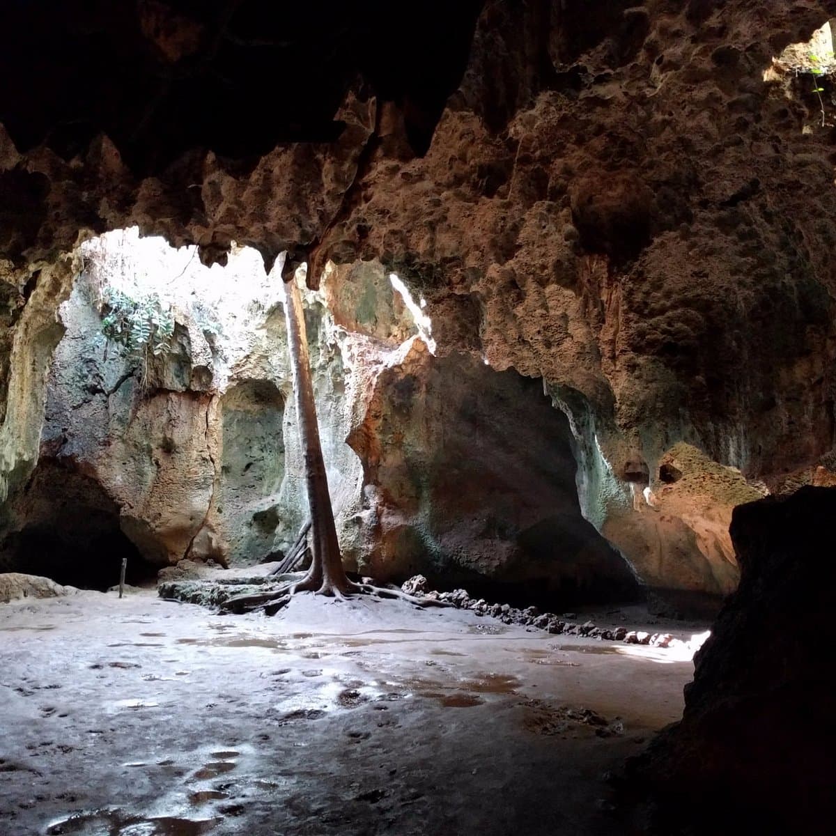 Shimoni Caves0