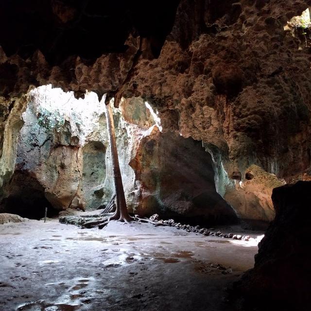 Caves
